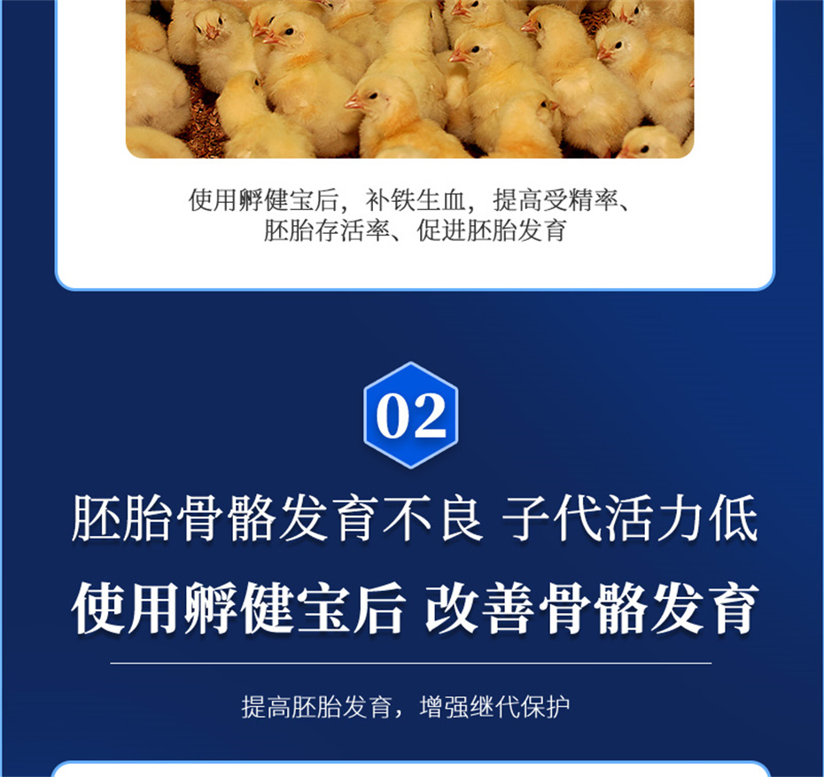 吉隆達動(dòng)保禽飼料添加劑孵健寶產(chǎn)品介紹