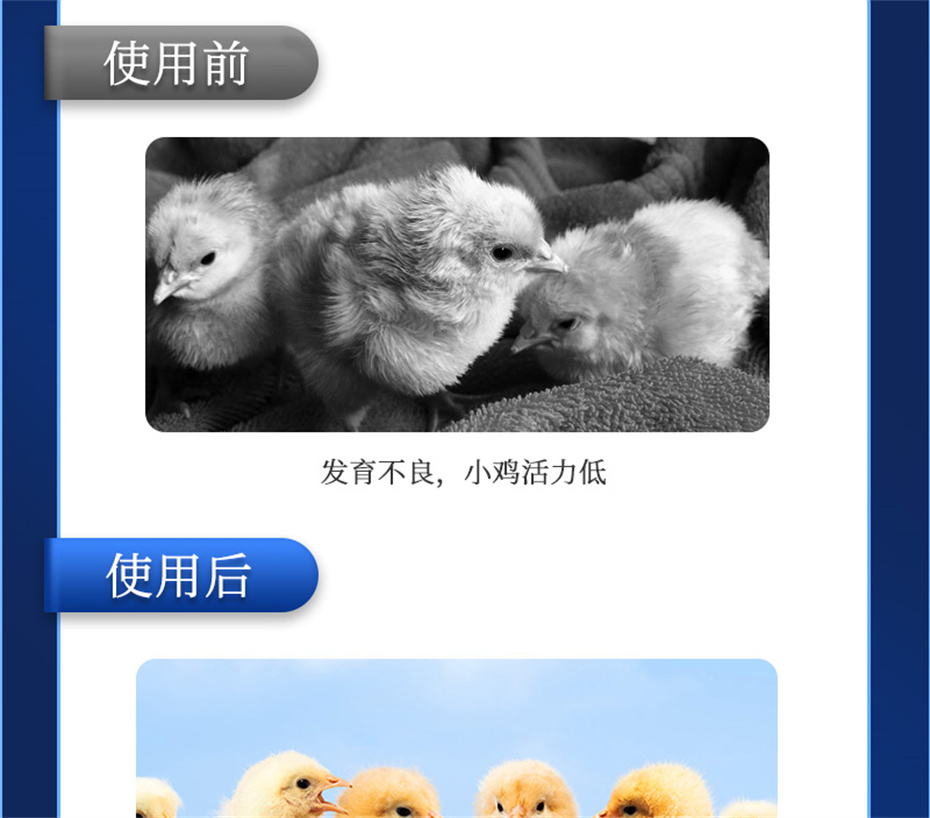 吉隆達動(dòng)保禽飼料添加劑孵健寶產(chǎn)品介紹
