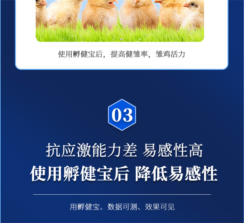 吉隆達動(dòng)保禽飼料添加劑孵健寶產(chǎn)品介紹