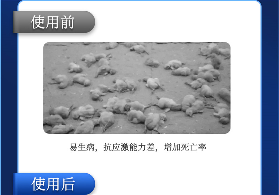 吉隆達動(dòng)保禽飼料添加劑孵健寶產(chǎn)品介紹