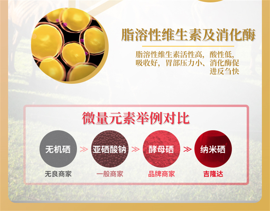 吉隆達動(dòng)保牛羊飼料添加劑牛羊壯膘王產(chǎn)品介紹
