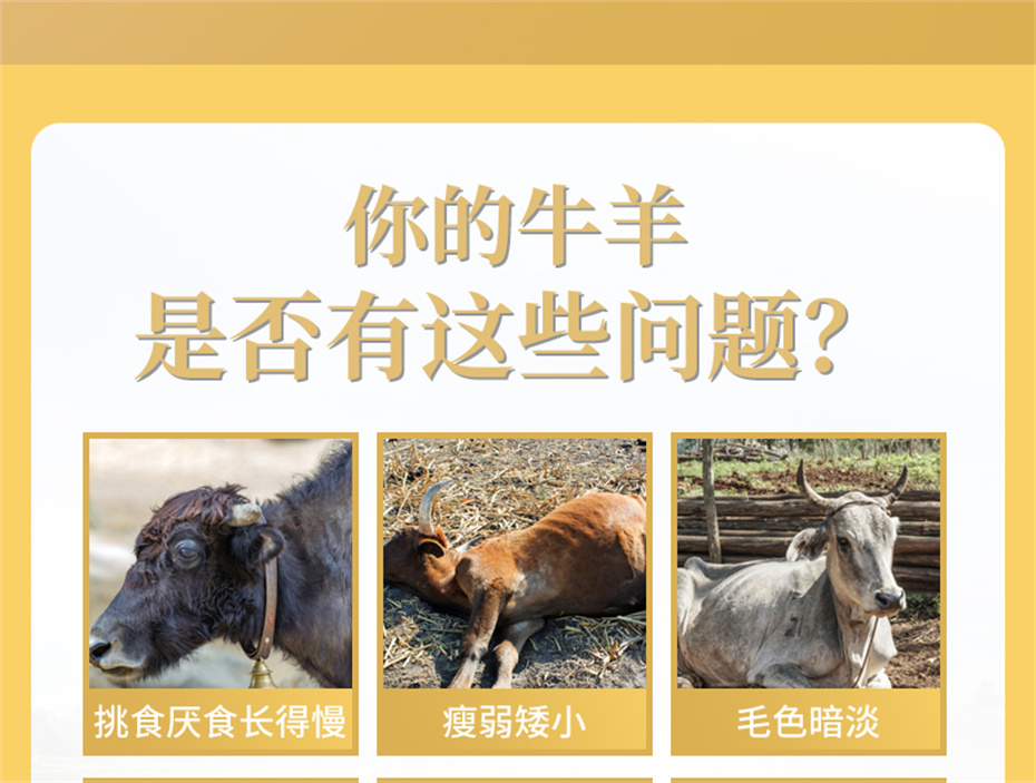 吉隆達動(dòng)保牛羊飼料添加劑牛羊壯膘王產(chǎn)品介紹