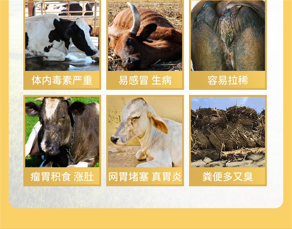 吉隆達動(dòng)保牛羊飼料添加劑牛羊壯膘王產(chǎn)品介紹