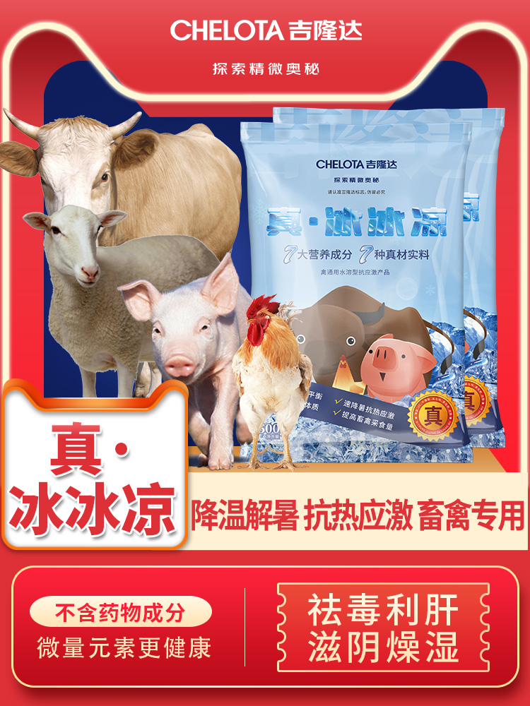 吉隆達真·冰冰涼
