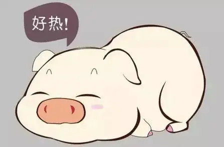 預防豬熱應激