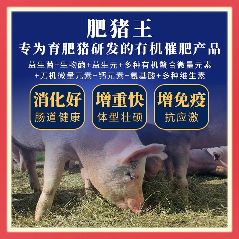肥豬王