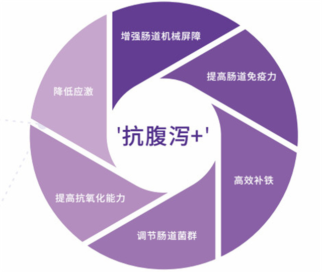 抗腹瀉方案