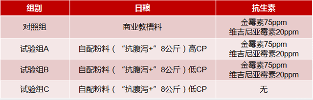 吉隆達乳仔豬抗腹瀉方案試驗