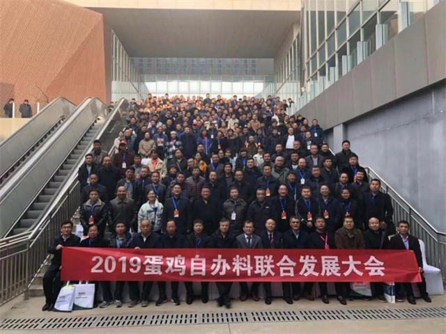 河北蛋雞自辦料聯(lián)合發(fā)展大會(huì )