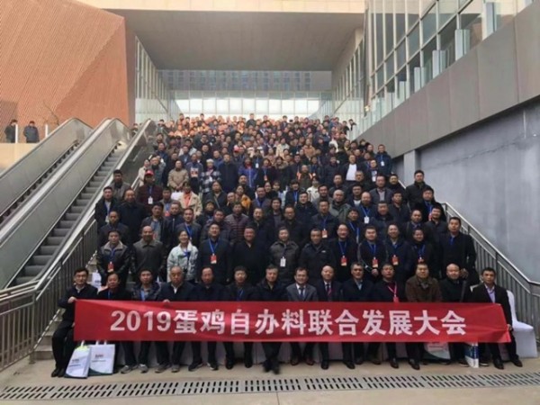 河北蛋雞自辦料聯(lián)合發(fā)展大會(huì )