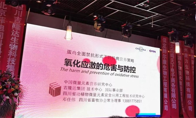 河北蛋雞自辦料聯(lián)合發(fā)展大會(huì )