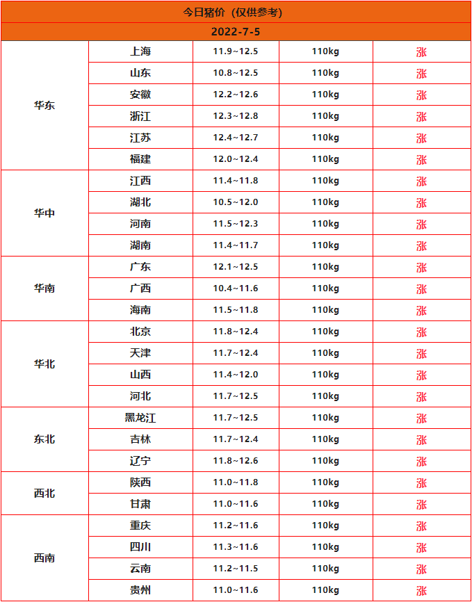 全國豬價(jià)行情