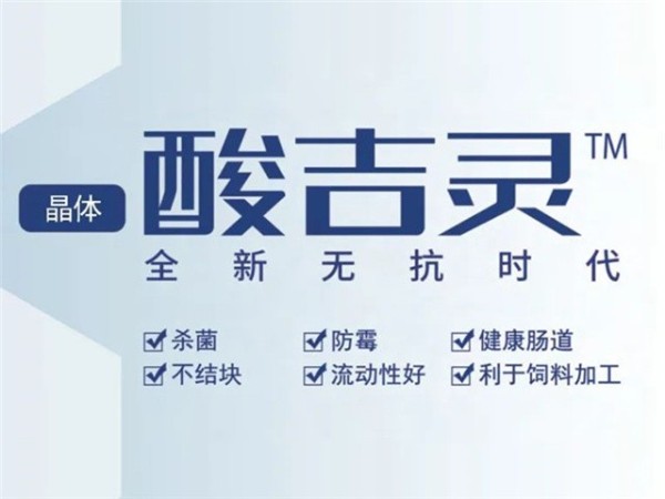 酸吉靈（酸化劑）體外抑菌效果探究