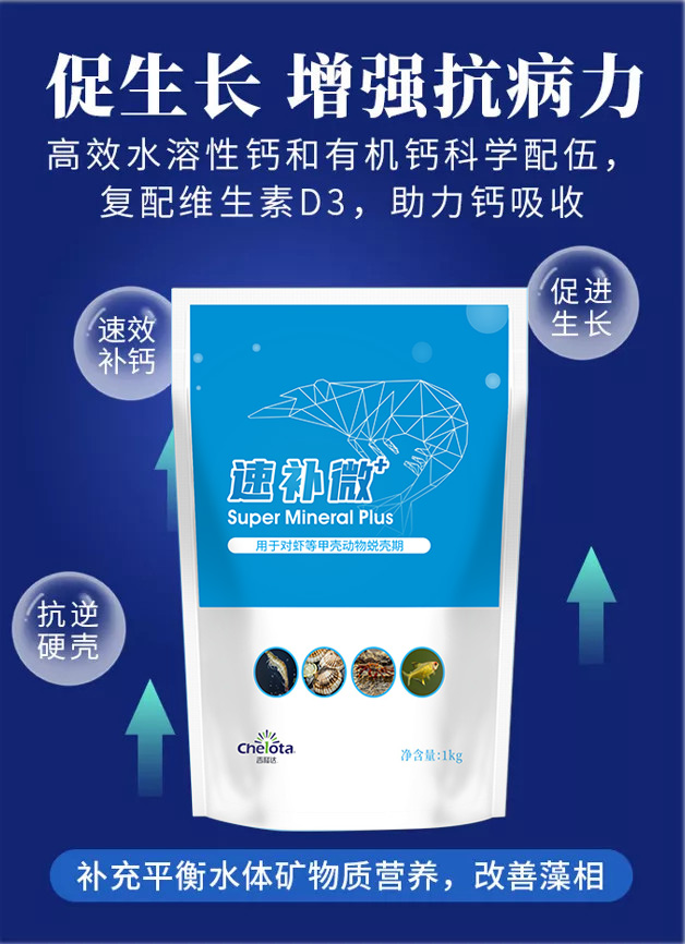 吉隆達速補微+