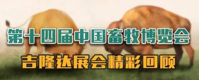 吉隆達參展中國畜牧博覽會(huì )