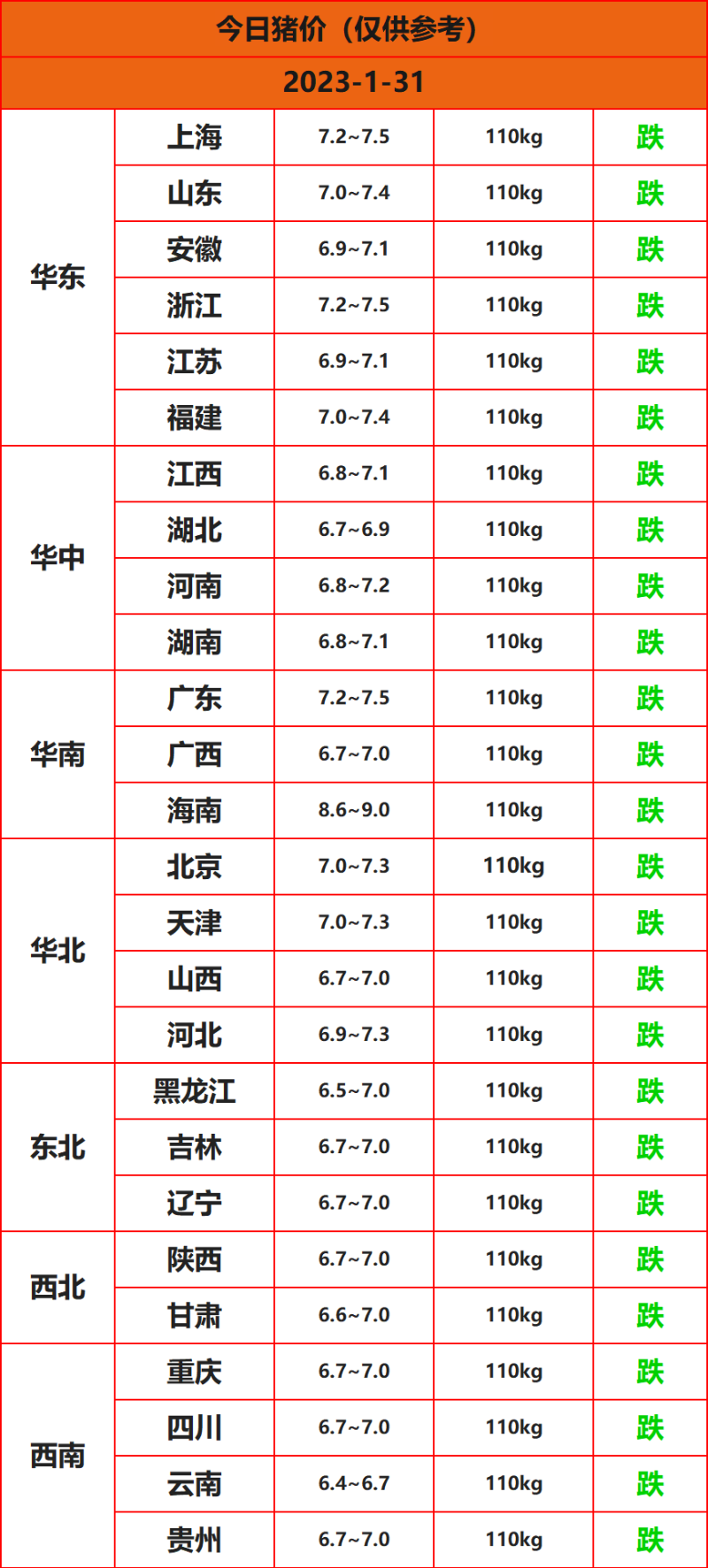 2023.1.31豬價(jià)
