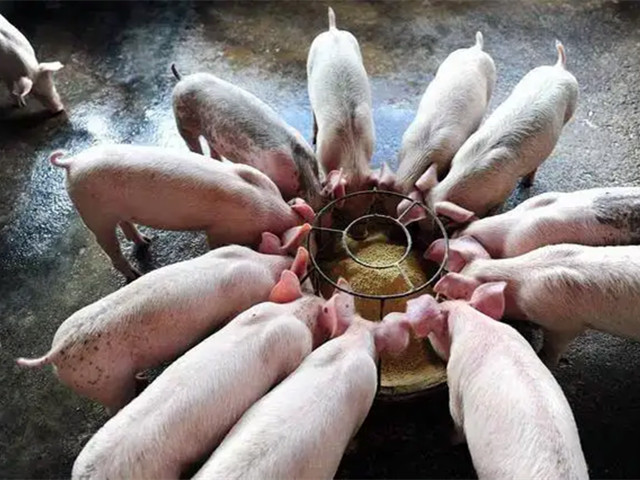 飼料添加劑