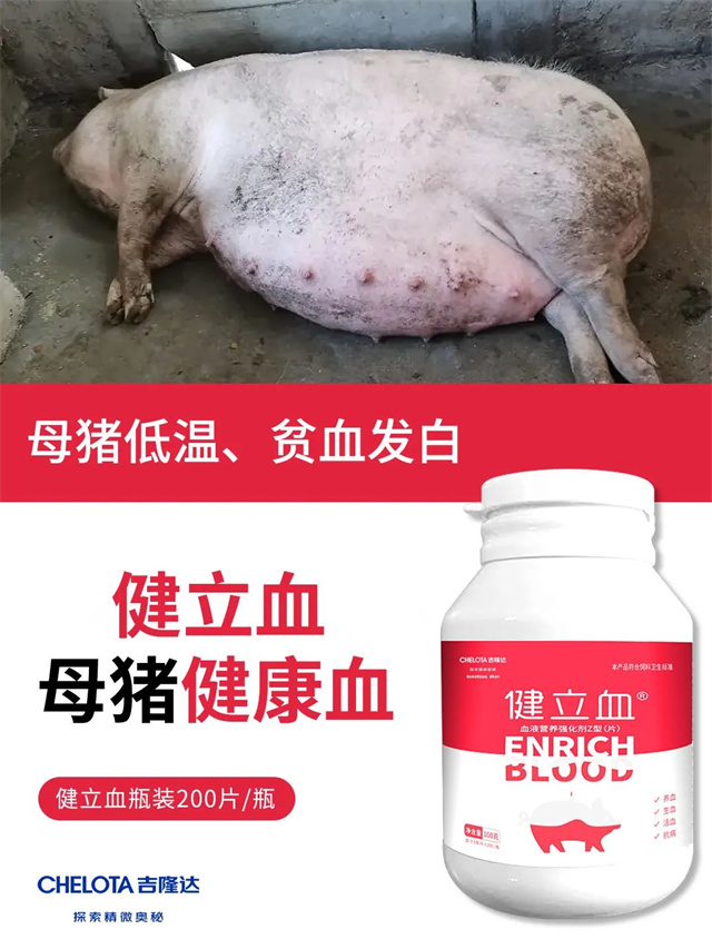 母豬保健-健立血