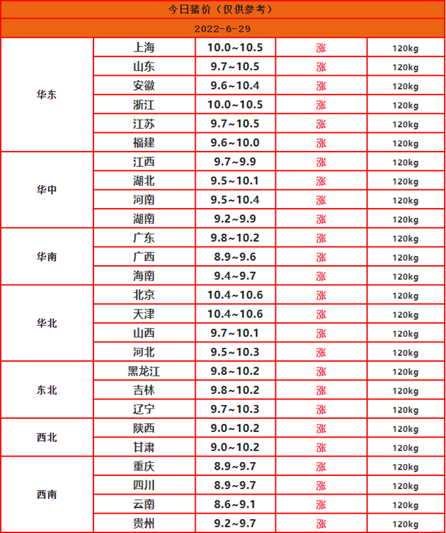 全國豬價(jià)行情
