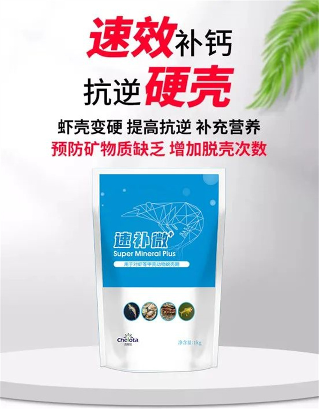 吉隆達速補微+