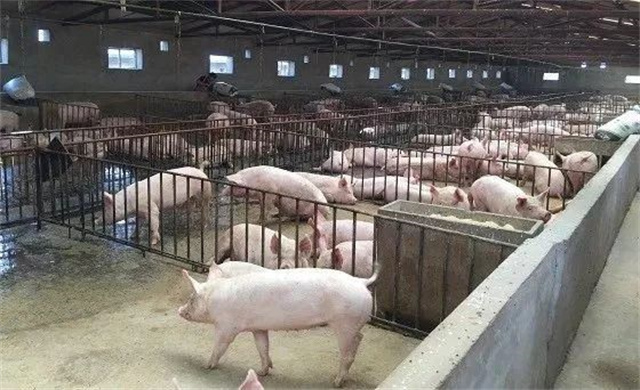 飼料添加劑