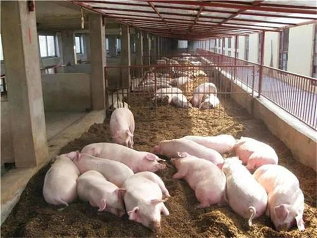 飼料添加劑