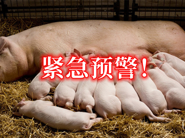 豬場(chǎng)保暖措施