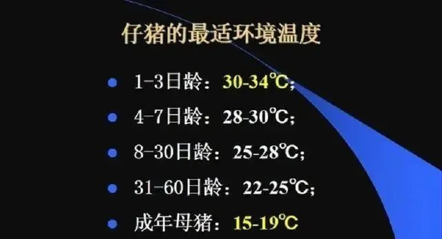 豬的最適環(huán)境溫度
