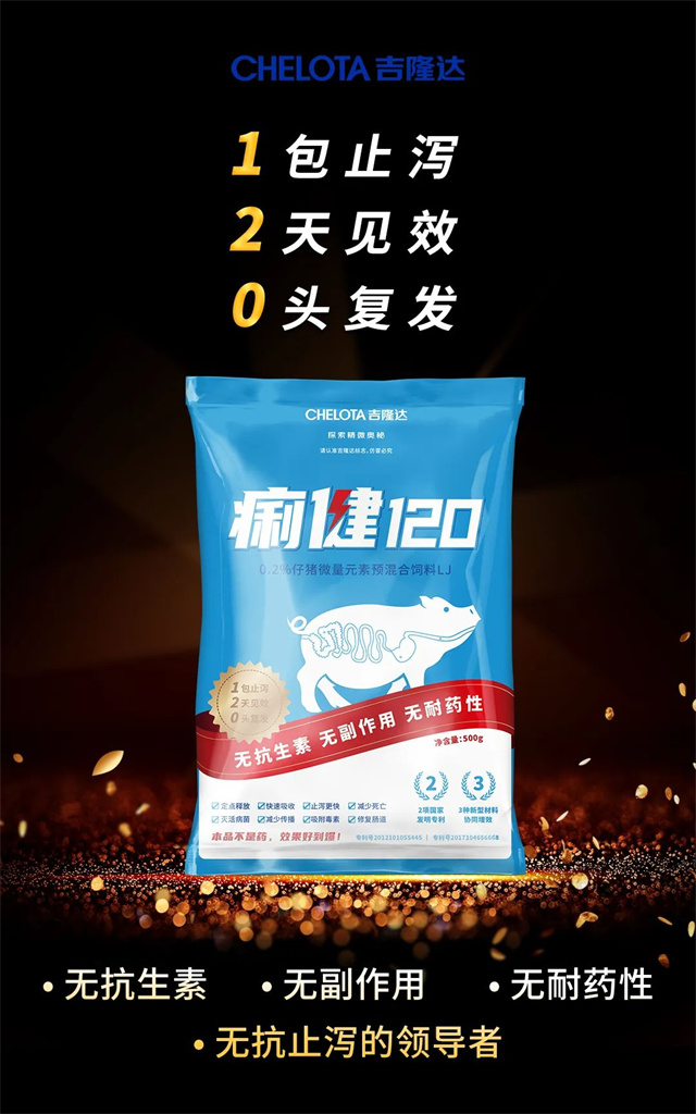 豬防拉稀飼料添加劑痢健120