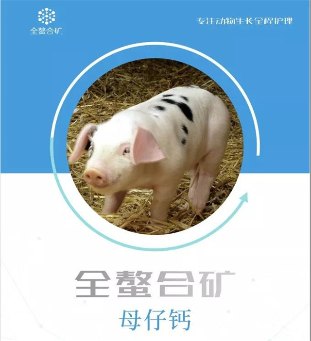 飼料添加劑