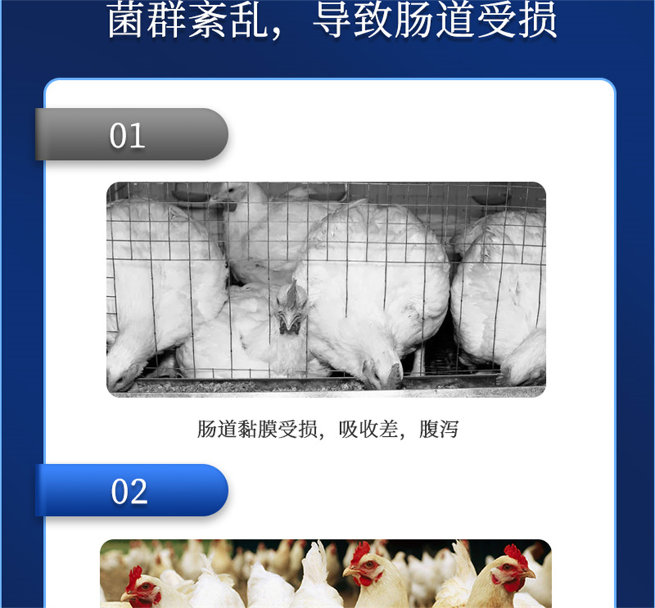 吉隆達動(dòng)保飼料添加劑吉生元產(chǎn)品介紹