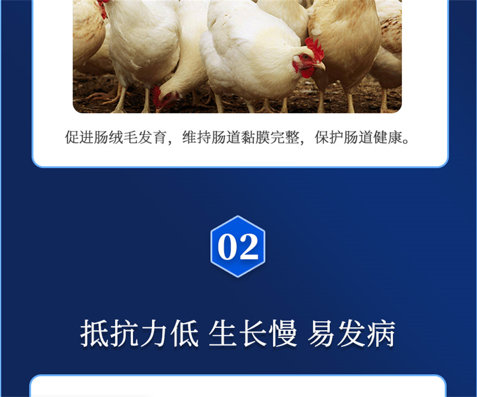 吉隆達動(dòng)保飼料添加劑吉生元產(chǎn)品介紹