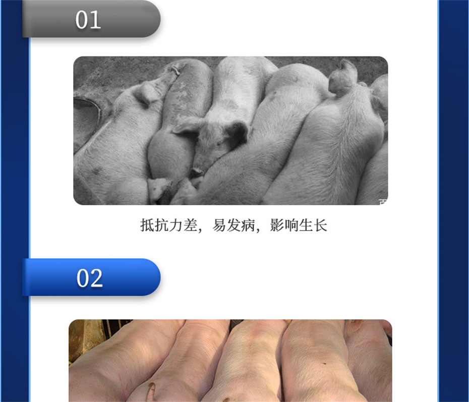吉隆達動(dòng)保飼料添加劑吉生元產(chǎn)品介紹