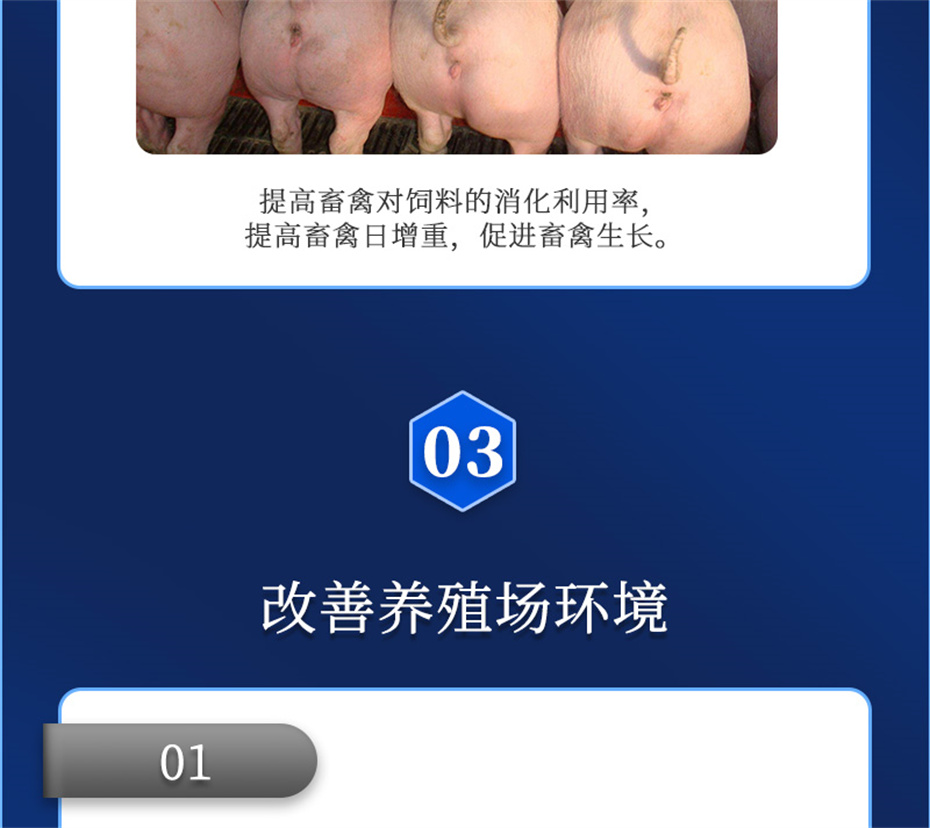 吉隆達動(dòng)保飼料添加劑吉生元產(chǎn)品介紹