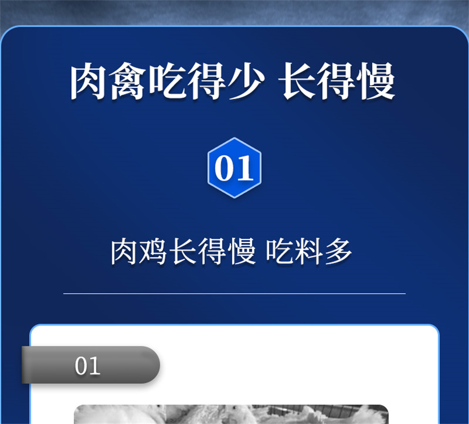 吉隆達動(dòng)保禽飼料添加劑禽肽重產(chǎn)品介紹