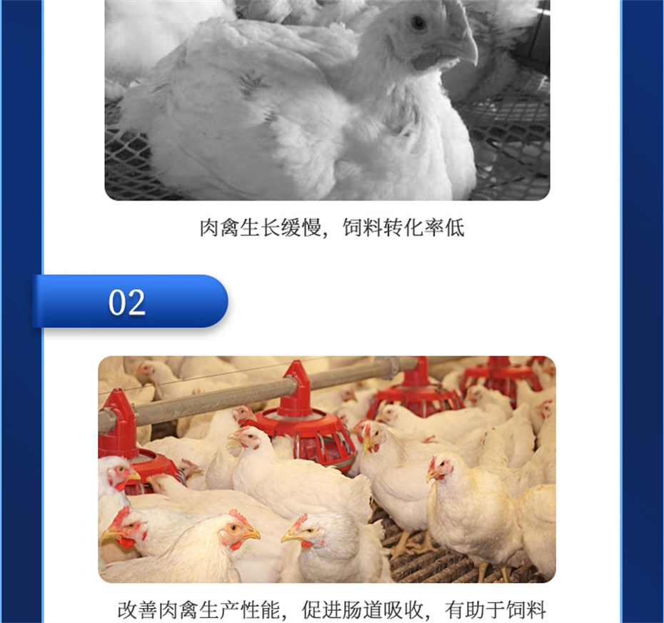 吉隆達動(dòng)保禽飼料添加劑禽肽重產(chǎn)品介紹
