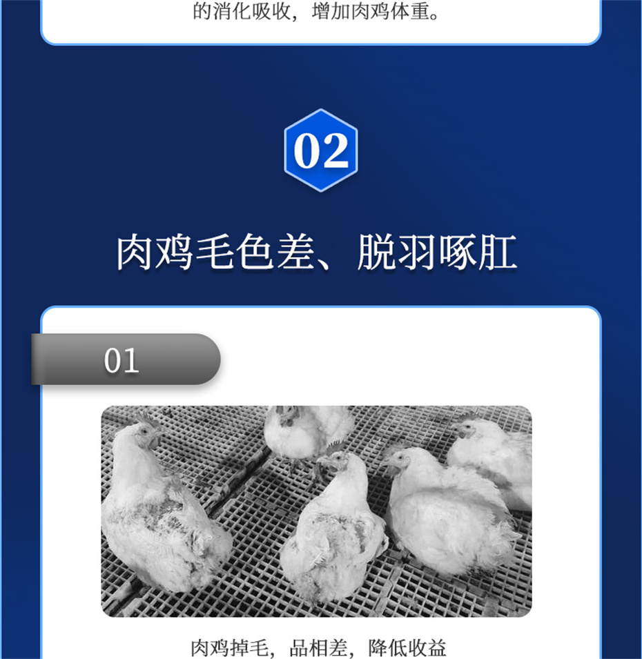 吉隆達動(dòng)保禽飼料添加劑禽肽重產(chǎn)品介紹