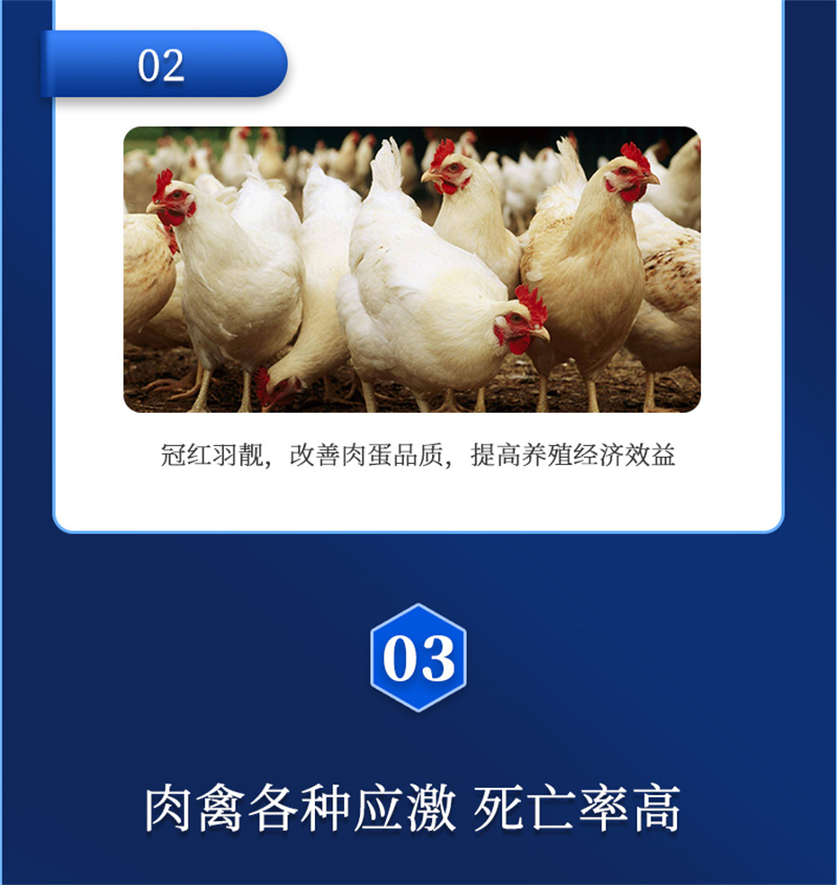 吉隆達動(dòng)保禽飼料添加劑禽肽重產(chǎn)品介紹