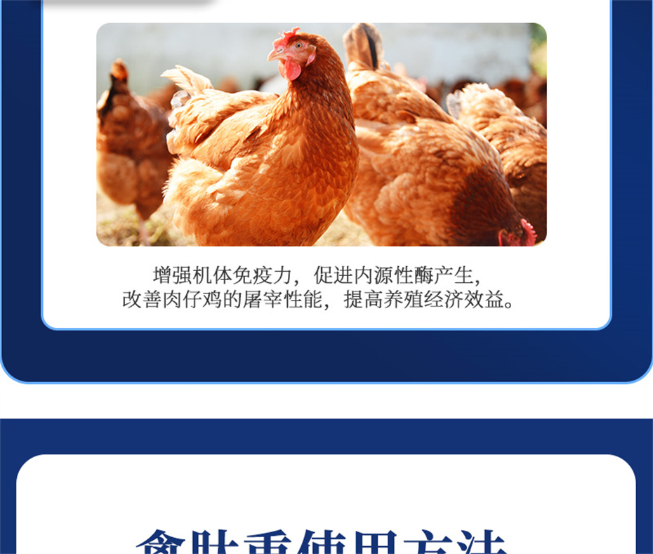 吉隆達動(dòng)保禽飼料添加劑禽肽重產(chǎn)品介紹