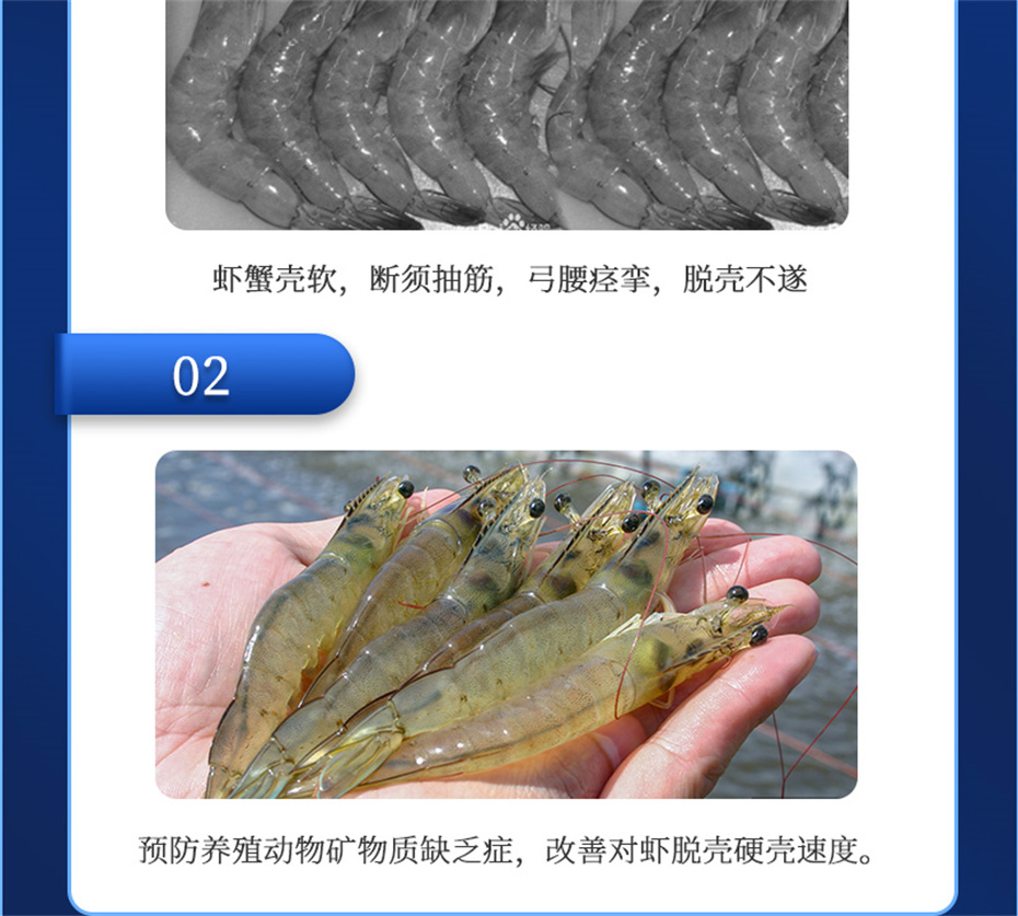 吉隆達動(dòng)保水產(chǎn)飼料添加劑速補微s+產(chǎn)品介紹