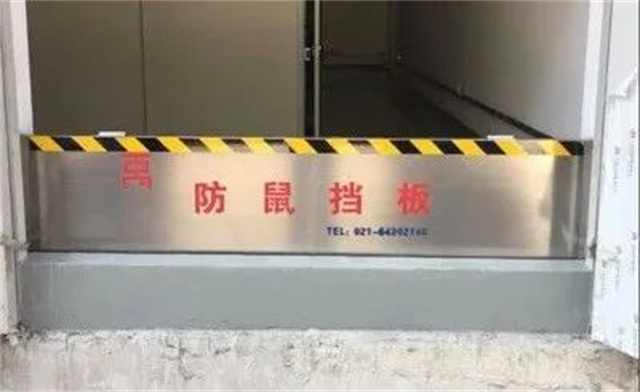 豬場(chǎng)防鼠要點(diǎn)