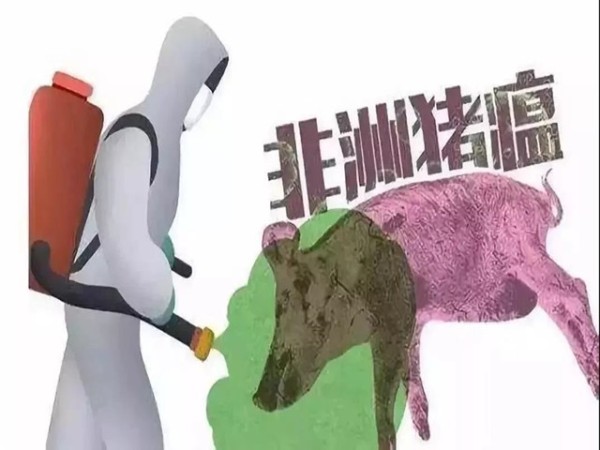2019年終盤(pán)點(diǎn)丨速看蛋雞行業(yè)年度關(guān)鍵詞！