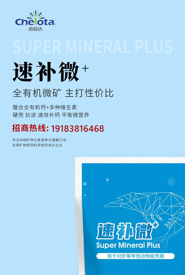 吉隆達速補微+