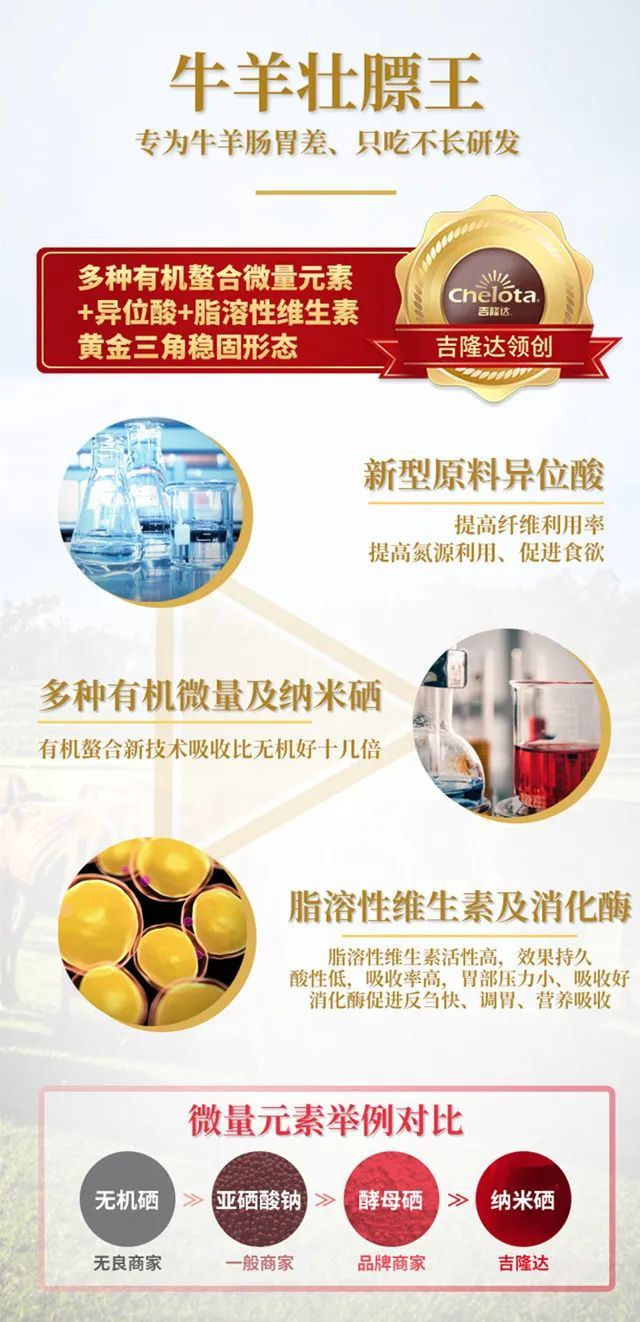 反芻飼料添加劑牛羊壯膘王為什么好
