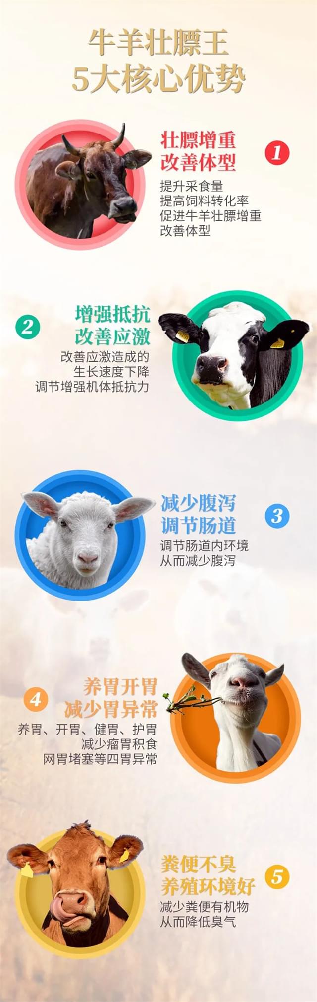 反芻飼料添加劑牛羊壯膘王的優(yōu)勢