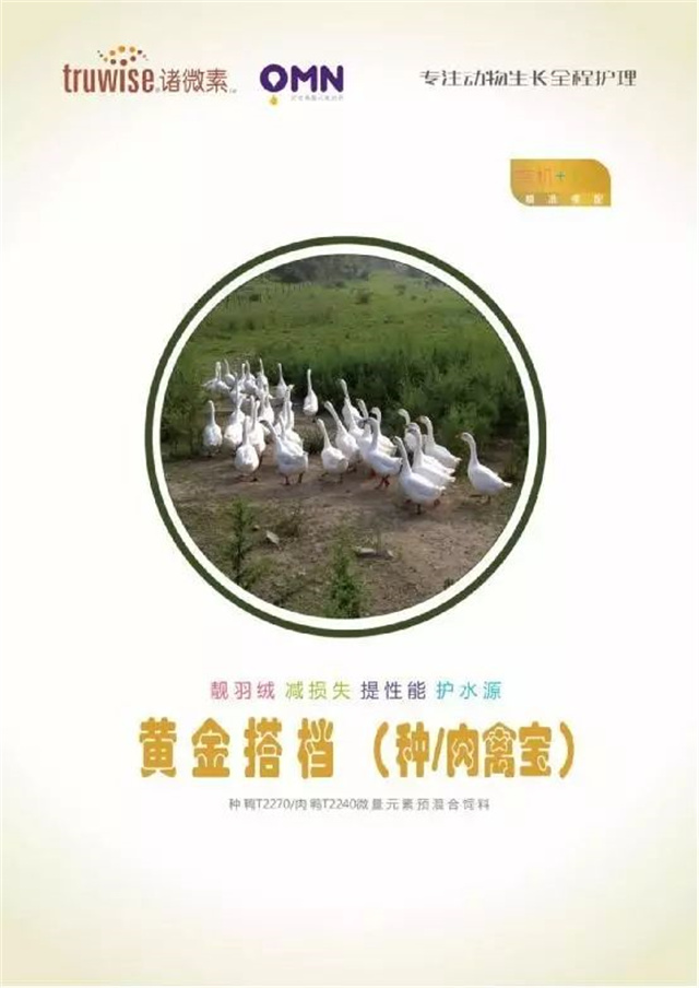吉隆達飼料添加劑