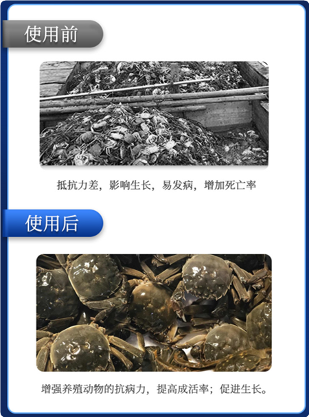 抗激1號效果