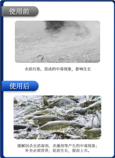 抗激1號效果