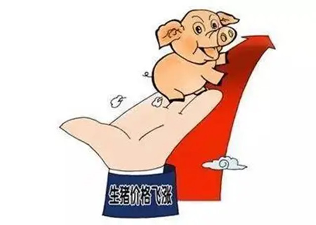 養豬還會(huì )賺錢(qián)嗎