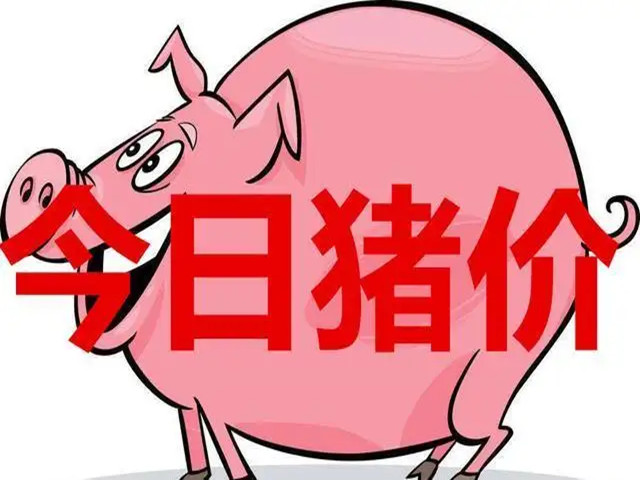 今日豬價(jià) | 2025年6月2日全國豬價(jià)行情一覽表！
